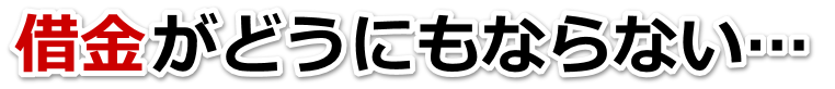ǂ悤ȂB؋ԂȂBcsŕٌmi@mɖk